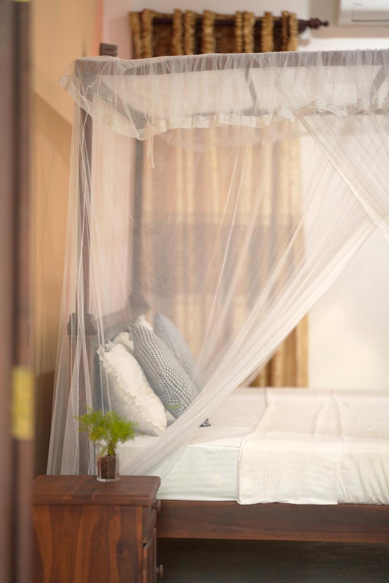 Surf Orchid Villa Weligama Εξωτερικό φωτογραφία